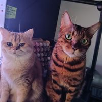 Mugi et Elia