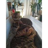 Mugi et Inoué